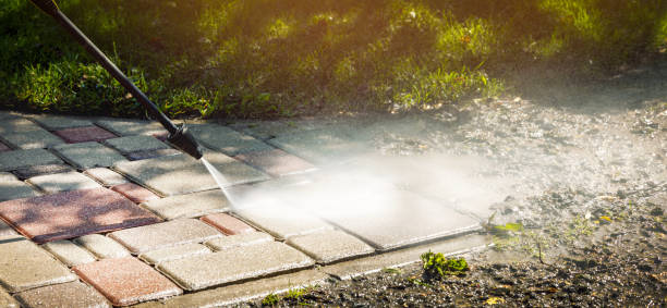 Best Animal Enclosure Cleaning  in Highland On The Lake, NY